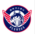 大邱飞马